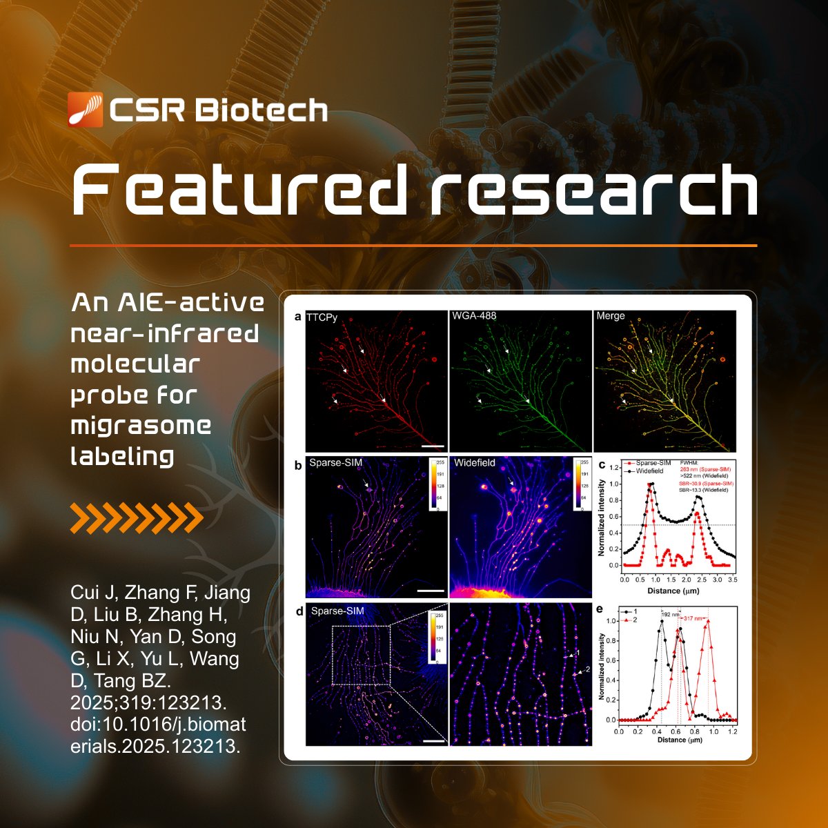 CSR Biotech tweet media