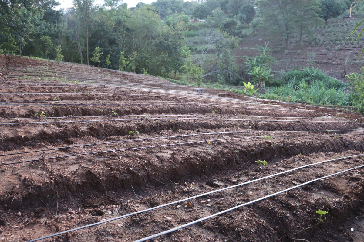 Irri-Hub KE tweet media