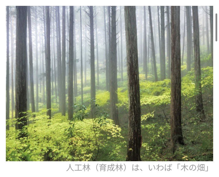 kohji Iwasaki tweet media