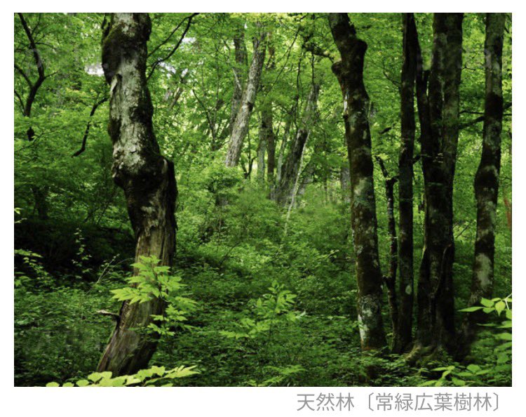 kohji Iwasaki tweet media