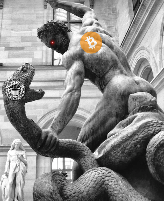 The Bitcoin Way tweet media