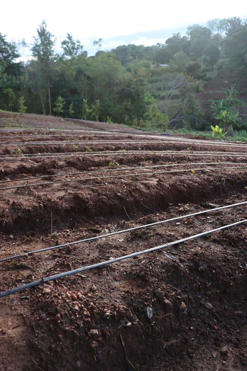 Irri-Hub KE tweet media