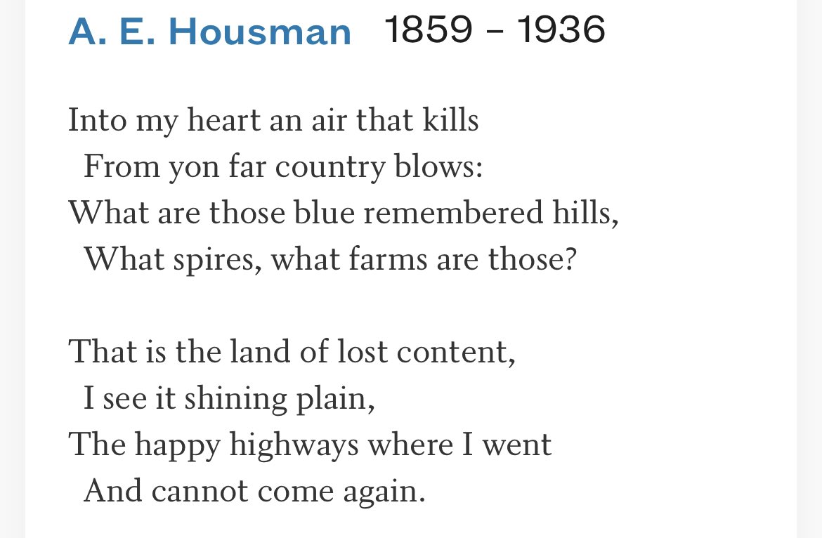 Jonormous B tweet media