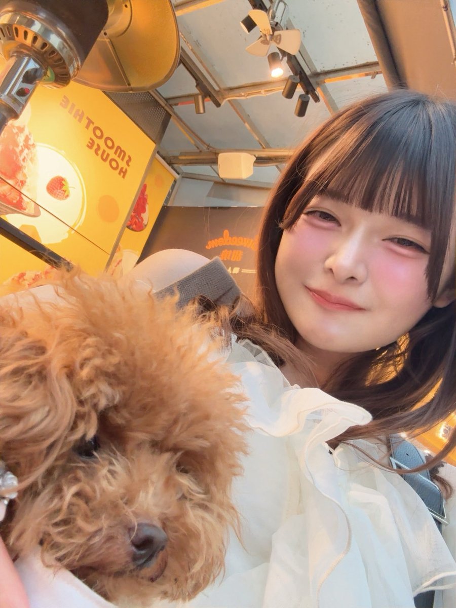 津代舞奈 tweet media
