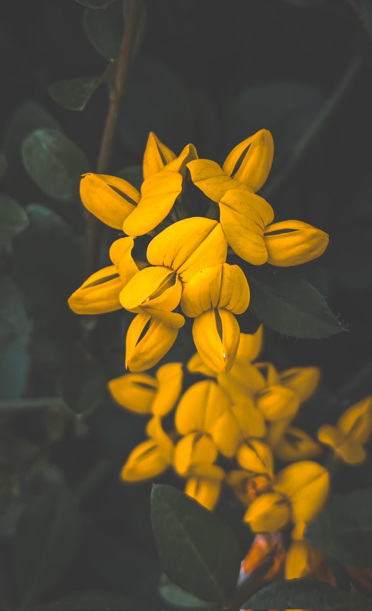 psychoticstate tweet media