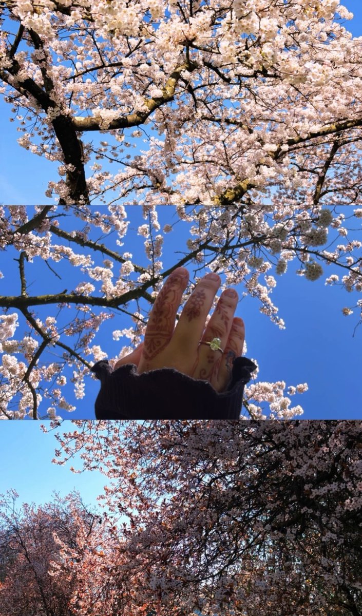 honingdropje tweet media