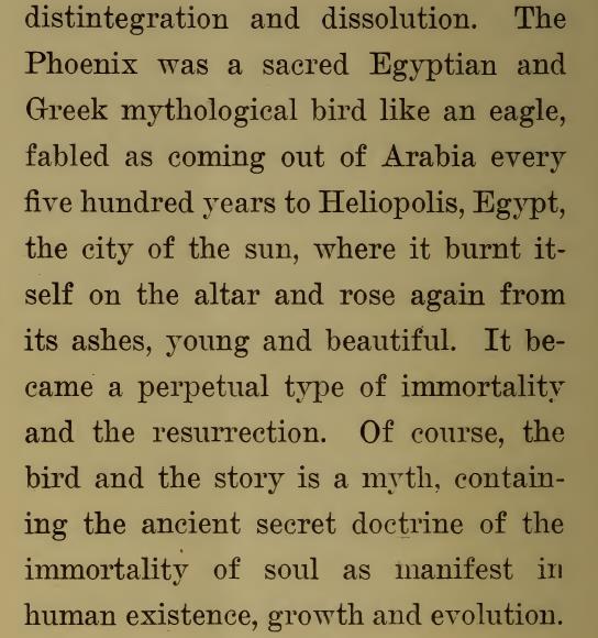 UFO mania tweet media