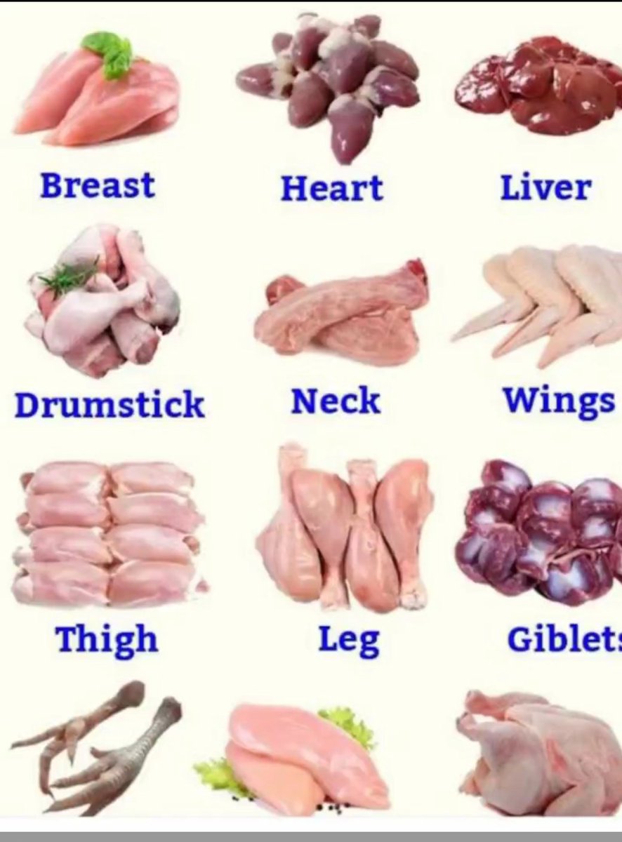 catnaija tweet media