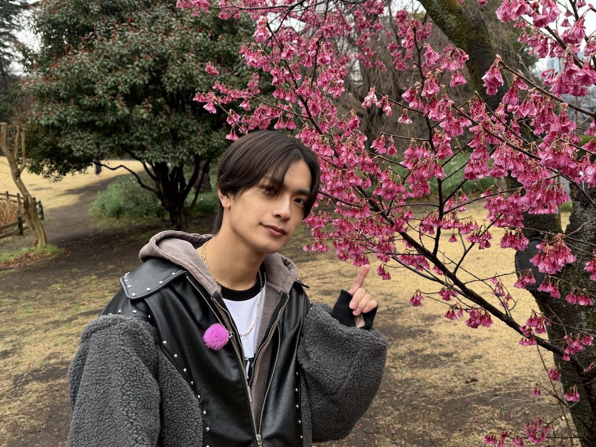cx_mezamashi's tweet photo. あす20日(金)の「#なにわ男子のどっち派！？」
春の最新レジャーを楽しむなら･･･
 
🟥桜グルメや着物で楽しむ「ゆったりお花見派」⁉️
🟦新感覚の没入型スポットや話題の企画展などの「わくわく新体験派」⁉️
 
＃高橋恭平 くんが調査
みなさんはどっち派かな🧐
 
あす8時14分まで投票できるよ https://t.co/4utAziOXnA