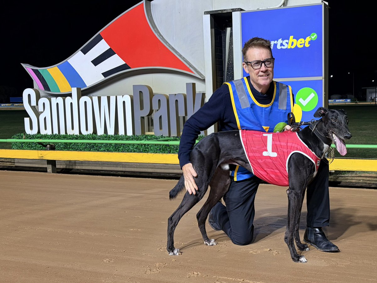 Sandown Greyhounds tweet media