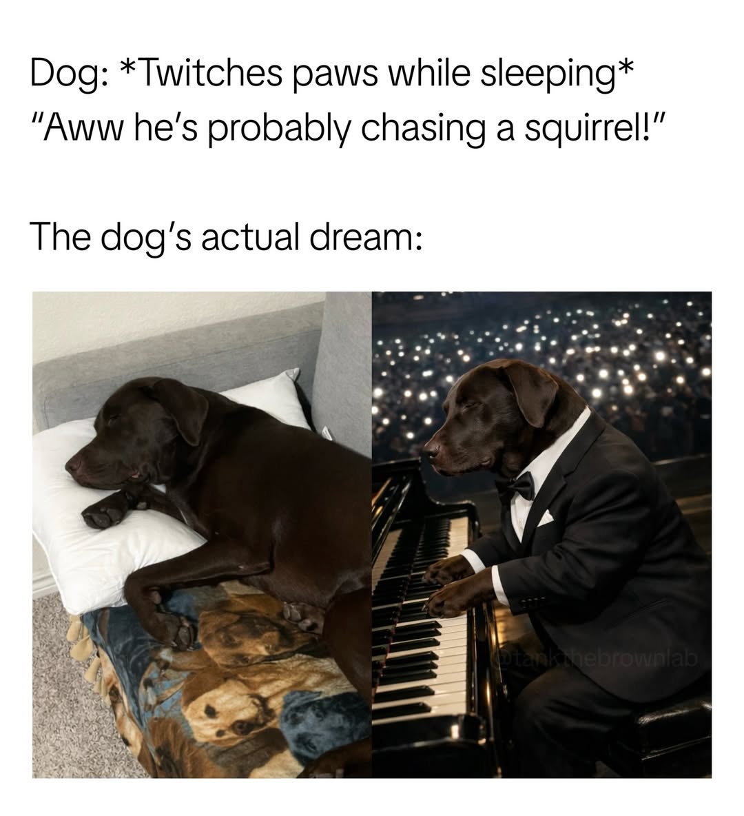 LAnDo NIFFIRG™️🇨🇦 tweet media