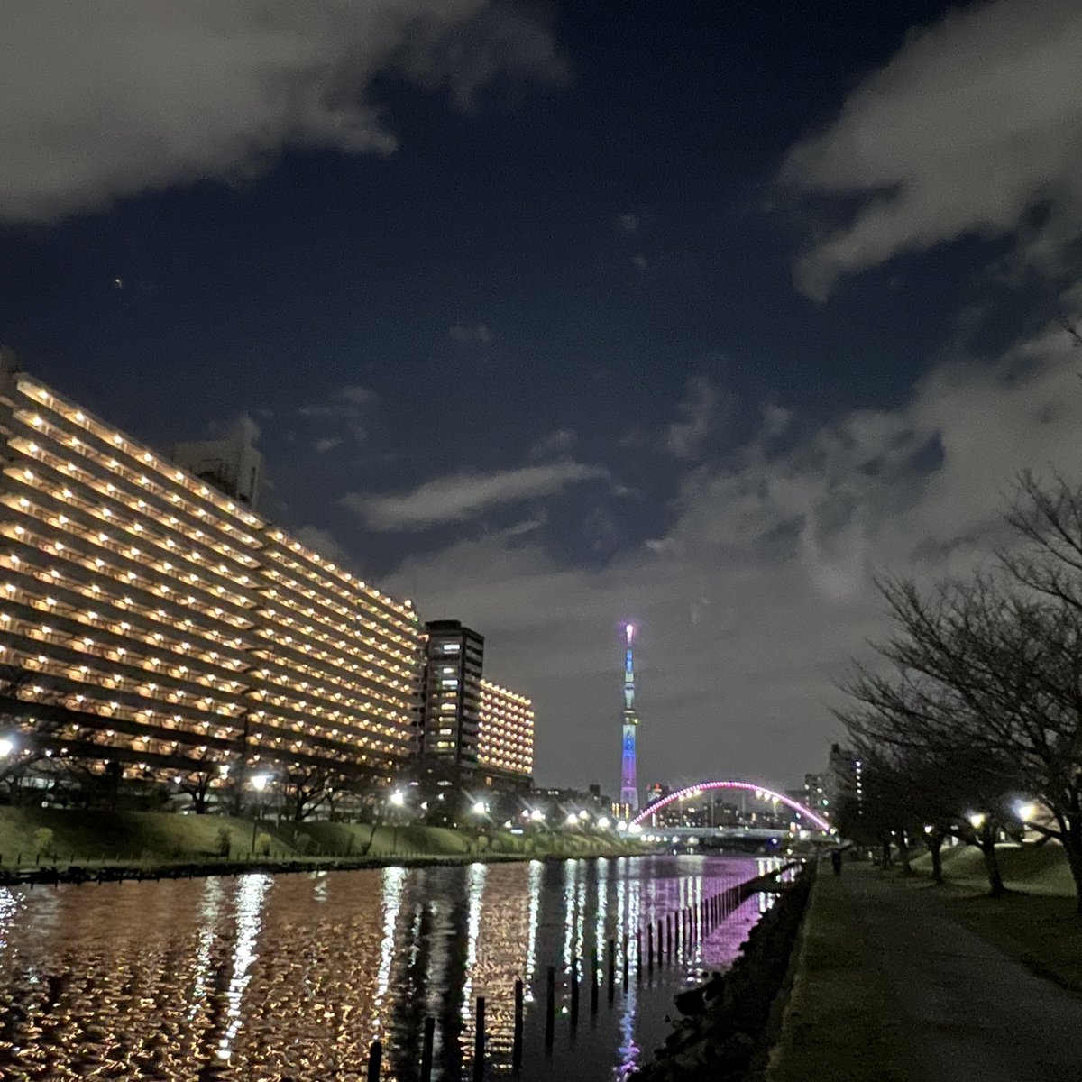 けふのスカイツリー🌃