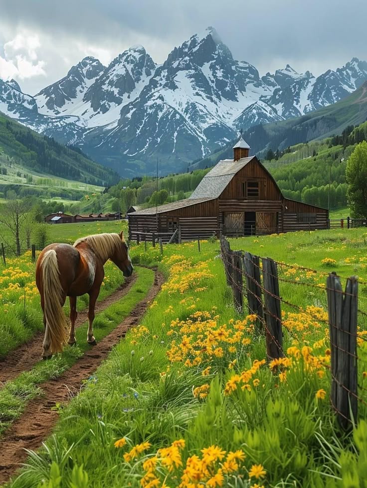 Switzerland 🇨🇭