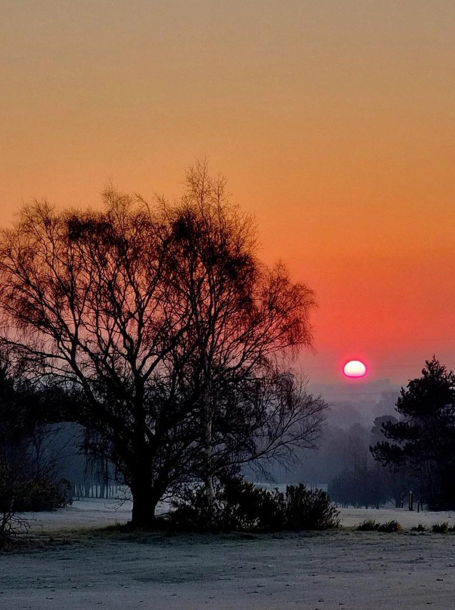 Mike Wood tweet media