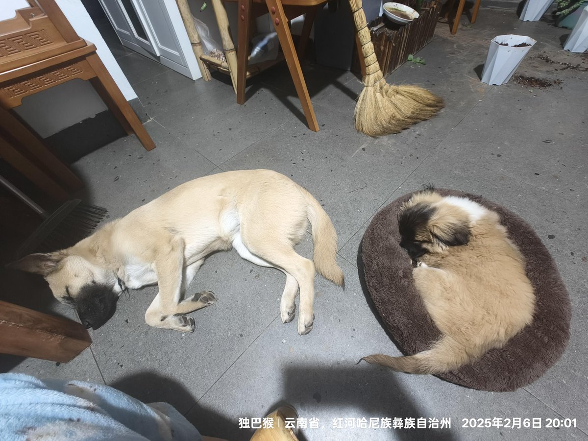 Striklend Kristina tweet media