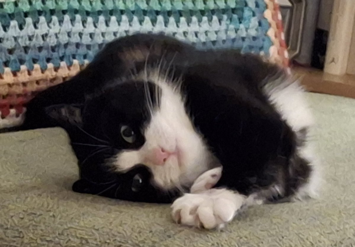 Janice Wright tweet media