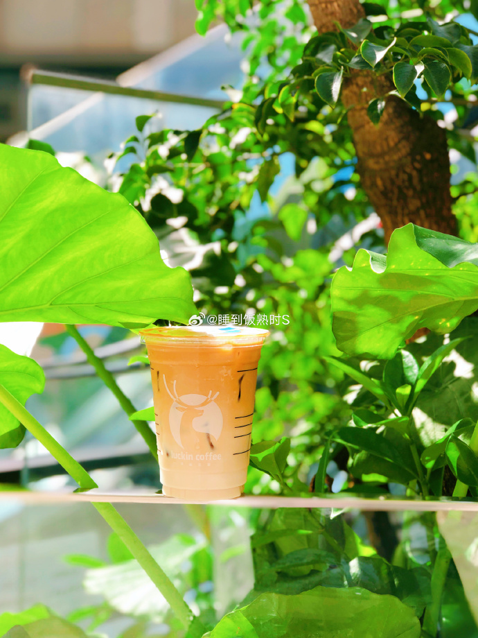 Kasper Bach tweet media