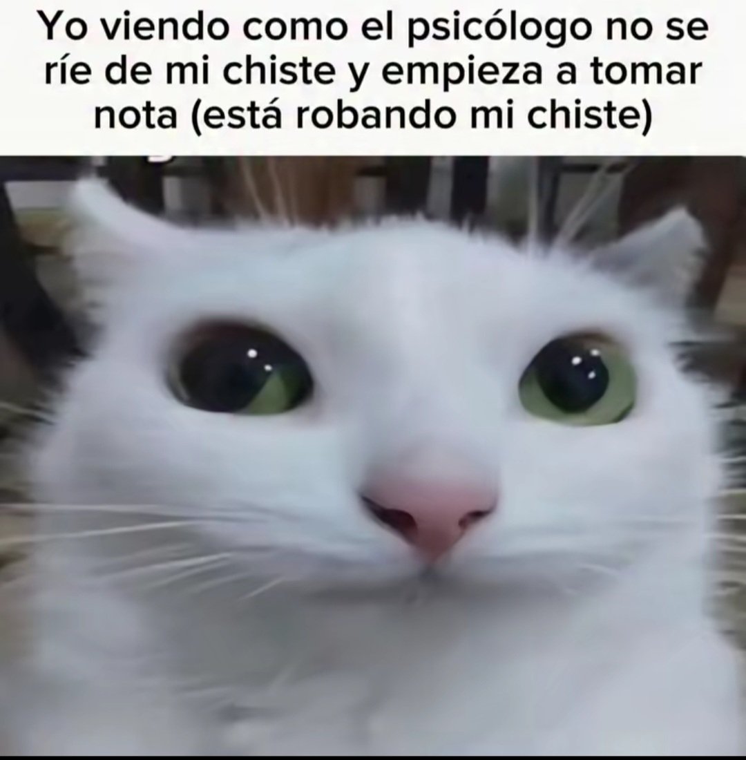 PlatanoSans's tweet photo. https://t.co/FWHVbjc410