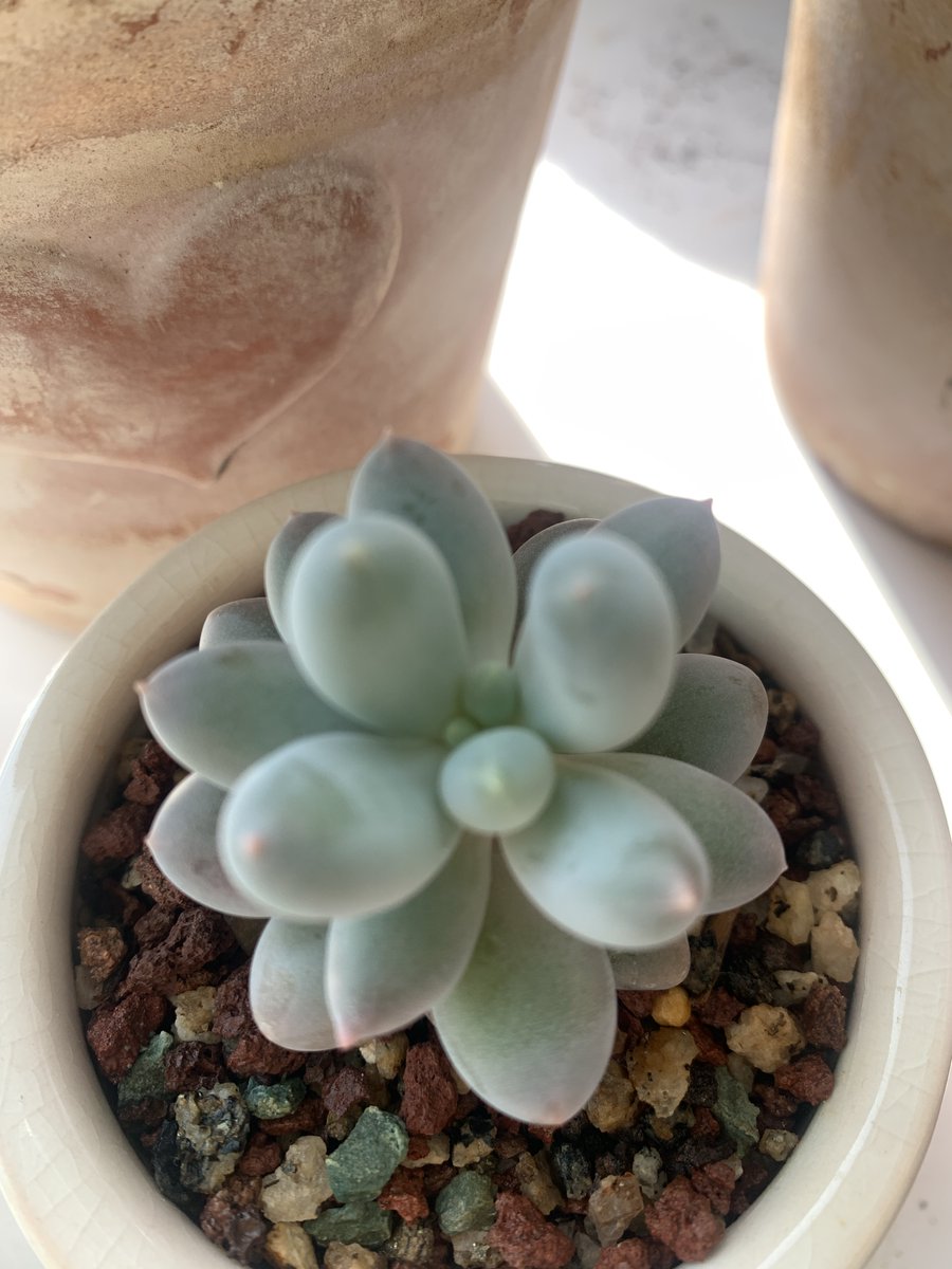 Touati Deborah tweet media