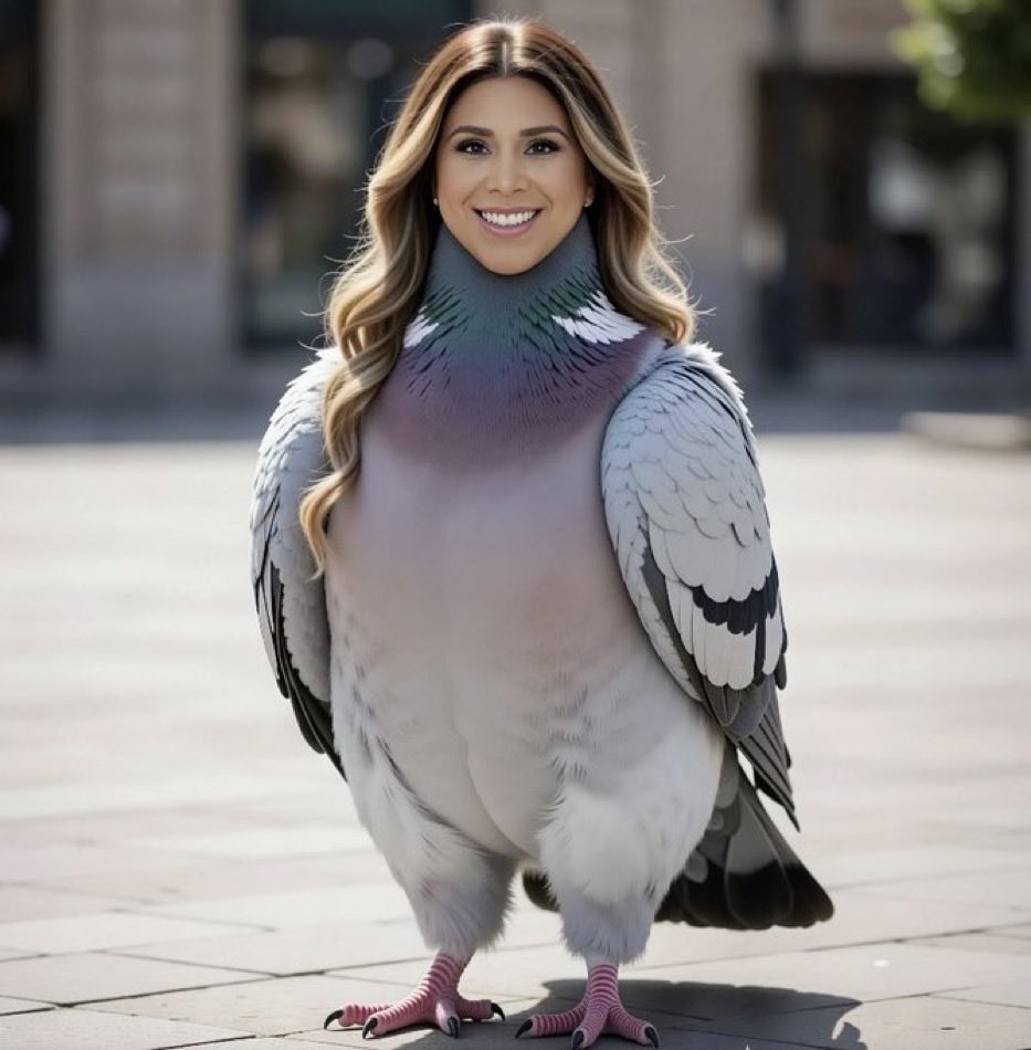 <a href="/ROMEOLEMUSNews/">RomeoLemusNews</a> Que paloma 🤣🤣🤣