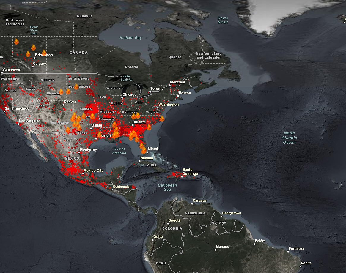 Peter D Carter tweet media