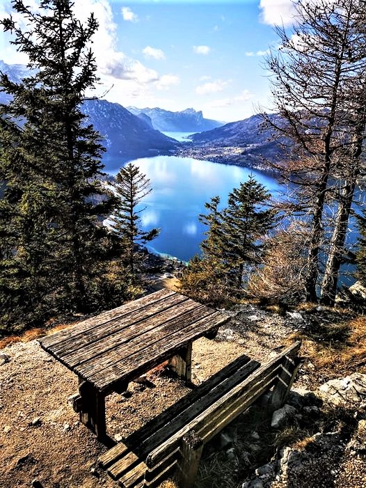 Green is a mission tweet media