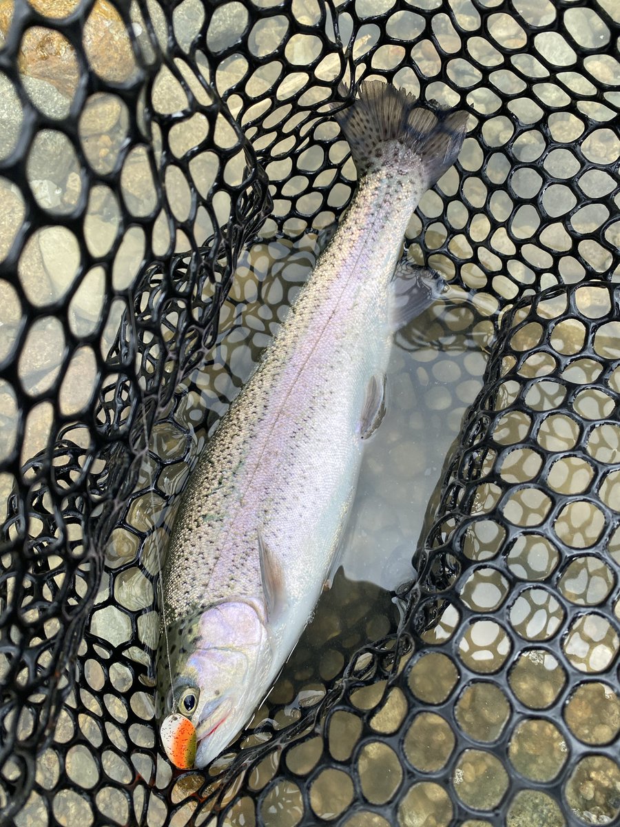 Shingo Matsui tweet media