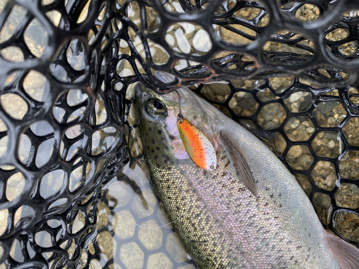 Shingo Matsui tweet media