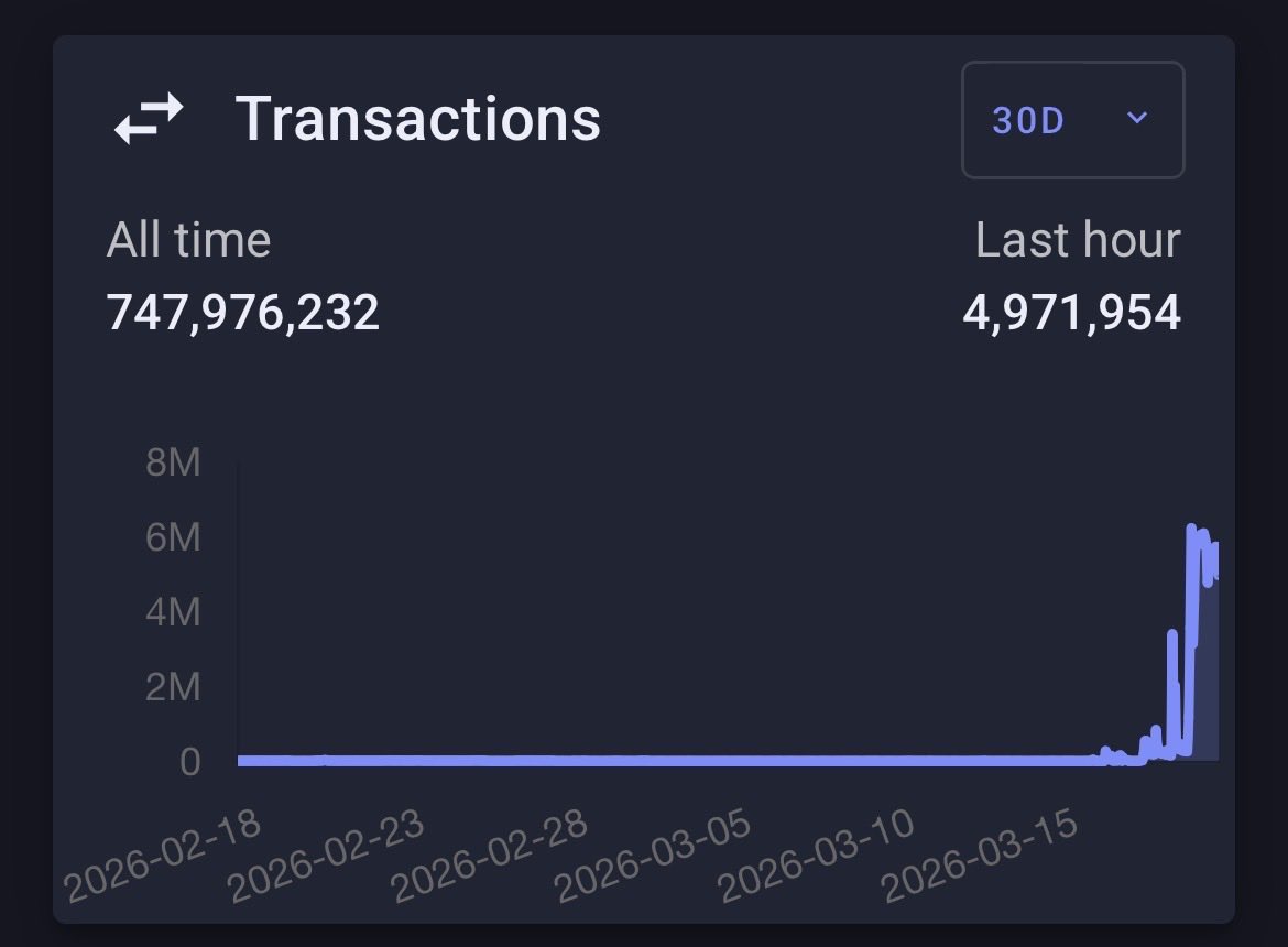 SatsySiren tweet media