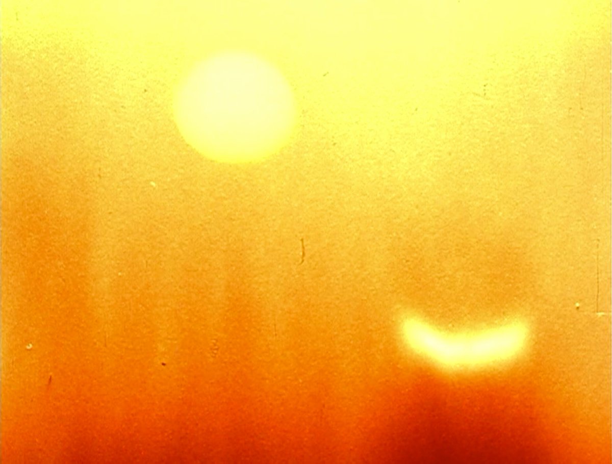 christian tweet media