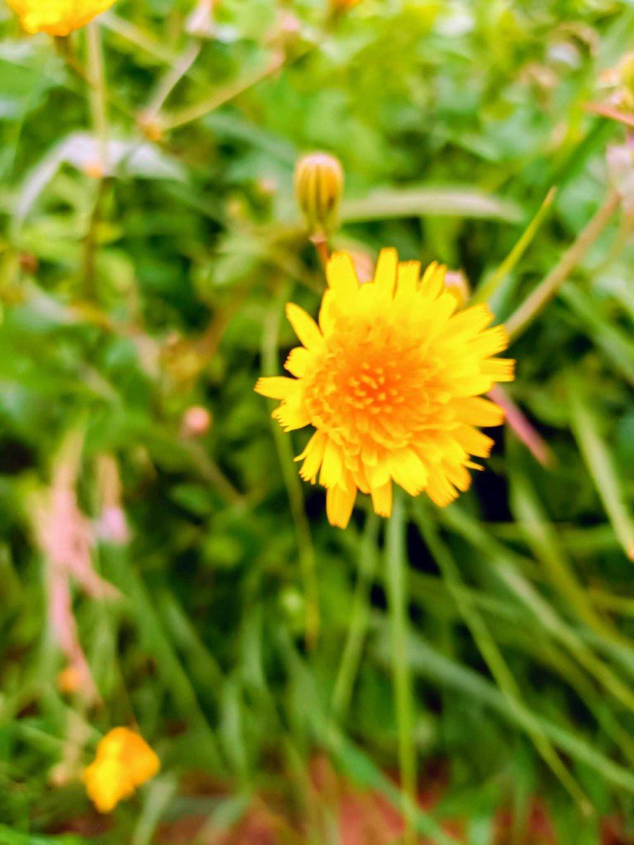 Arnau Cabeza Garrido tweet media