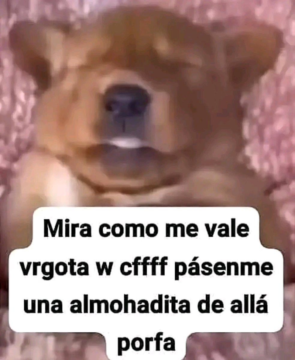 BiZetsito busca gente para ya saben #Joteros☢️🏴‍☠ tweet media