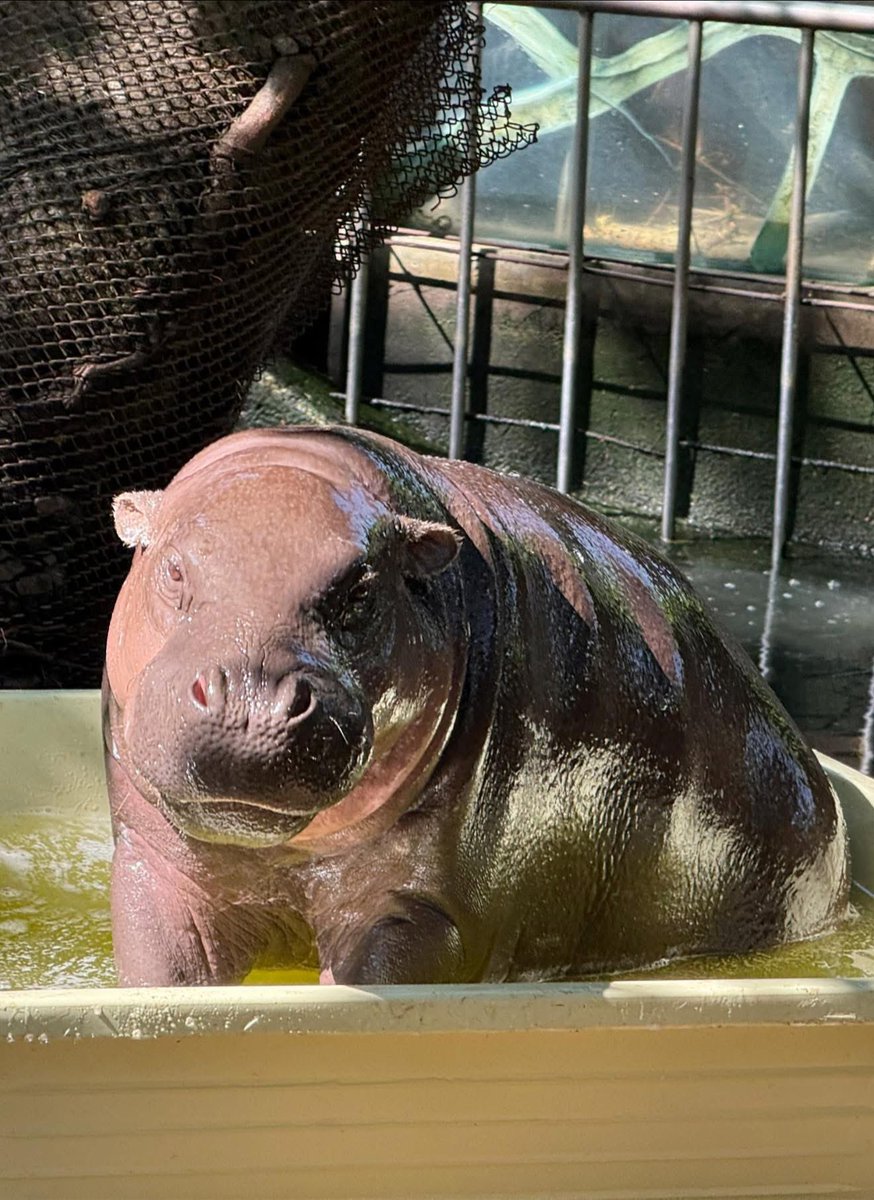 ilovemen tweet media