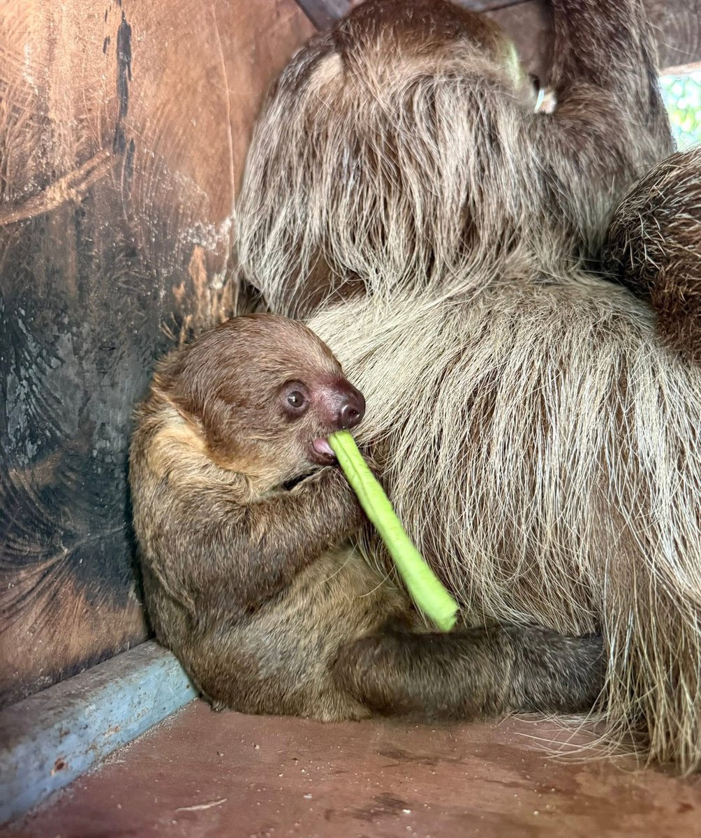 ilovemen tweet media