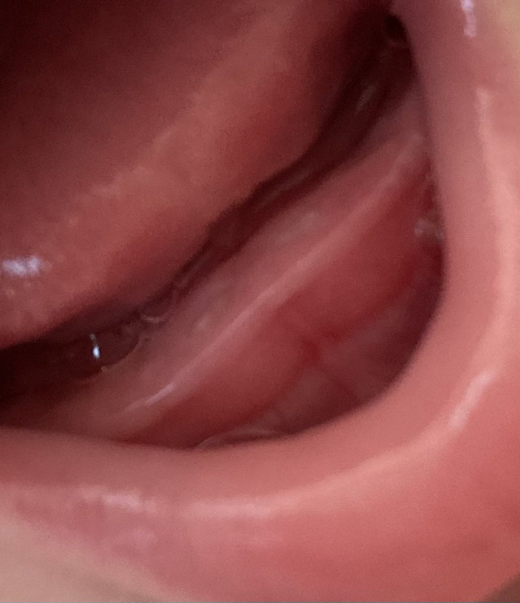 drow matriarch 🕷️ tweet media