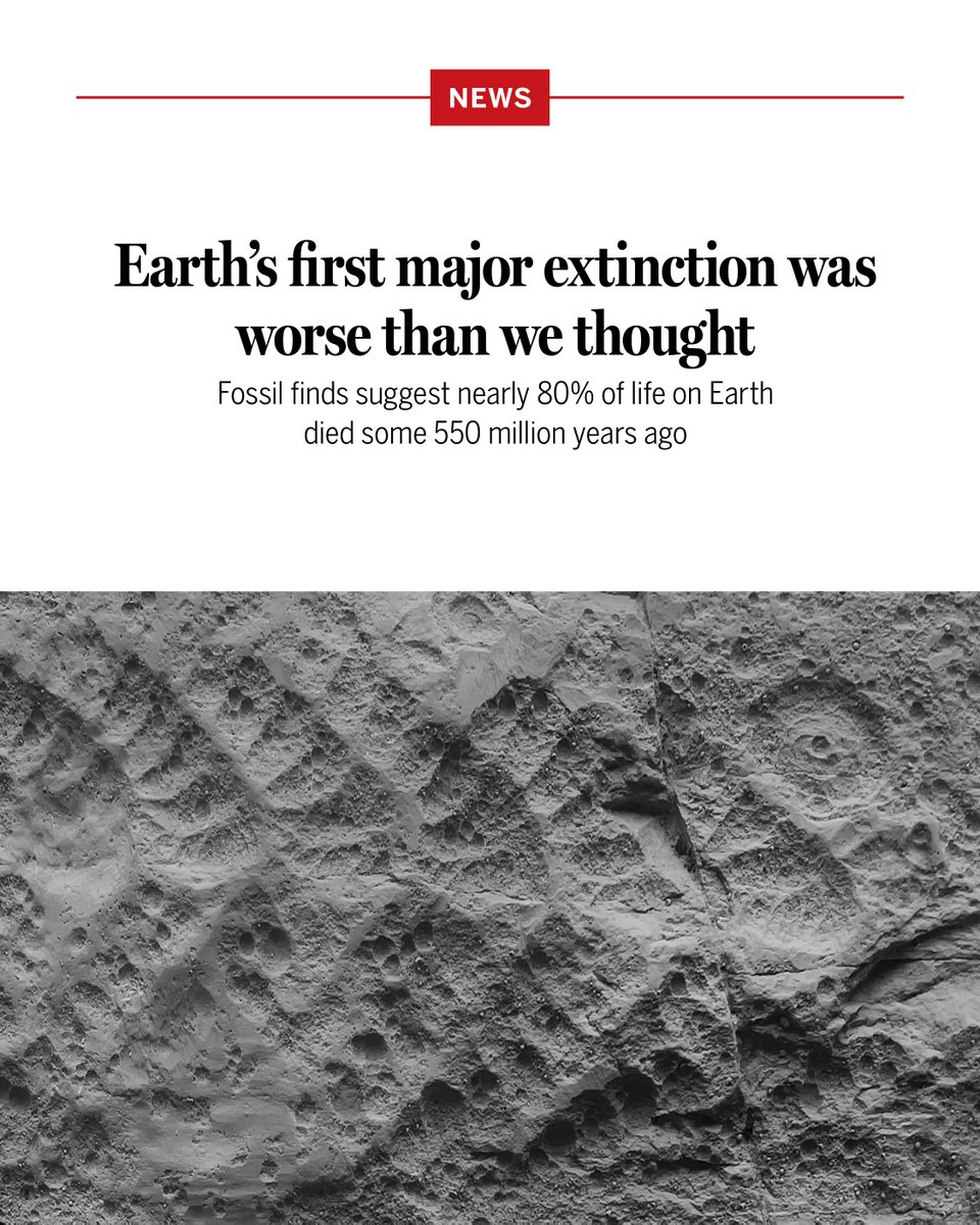 News from Science tweet media