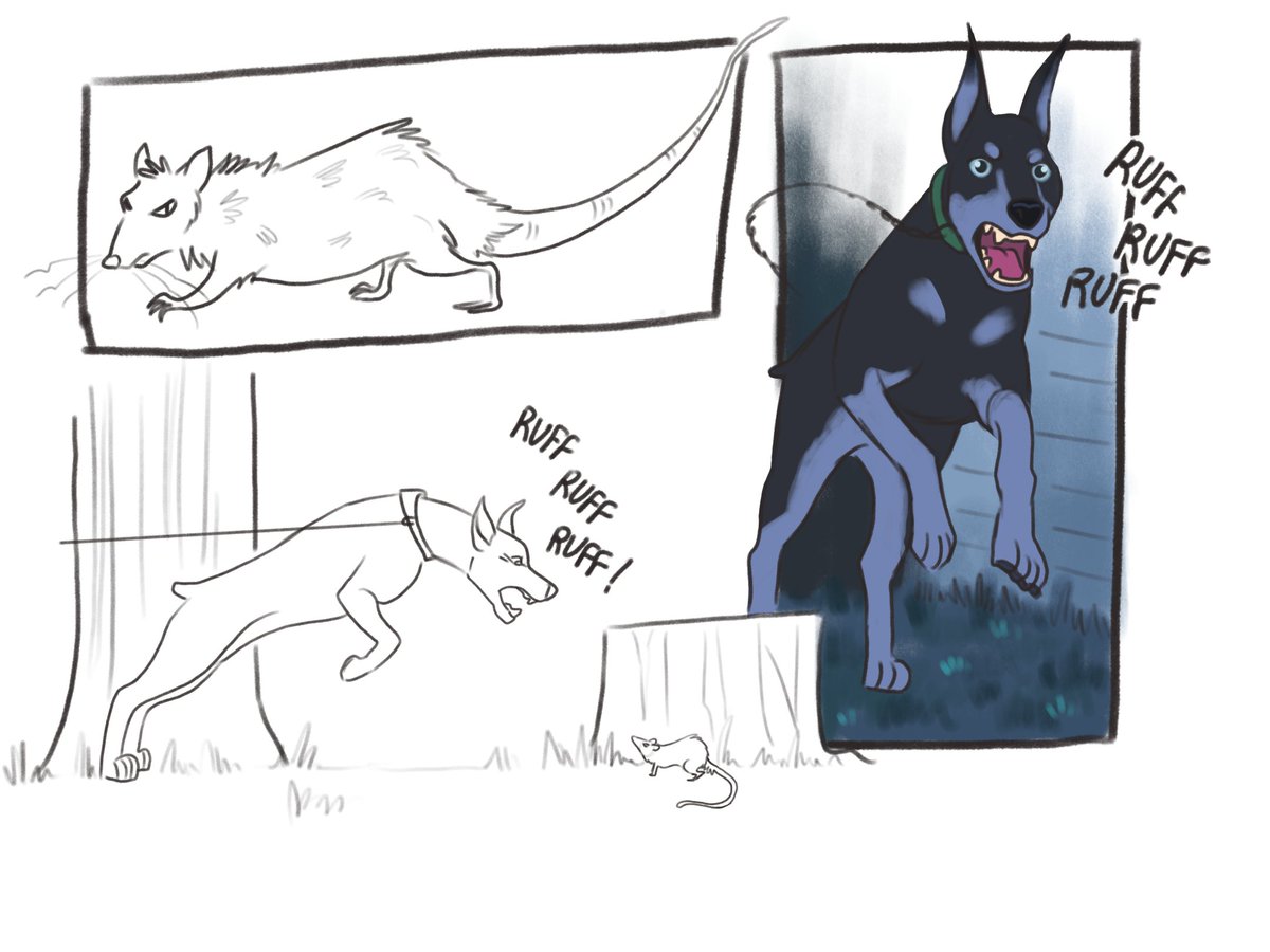 GeezLouise's tweet photo. Lady and Butch vs rat, pt. 1 #LATB #caitvi https://t.co/8vZkYMZWsU