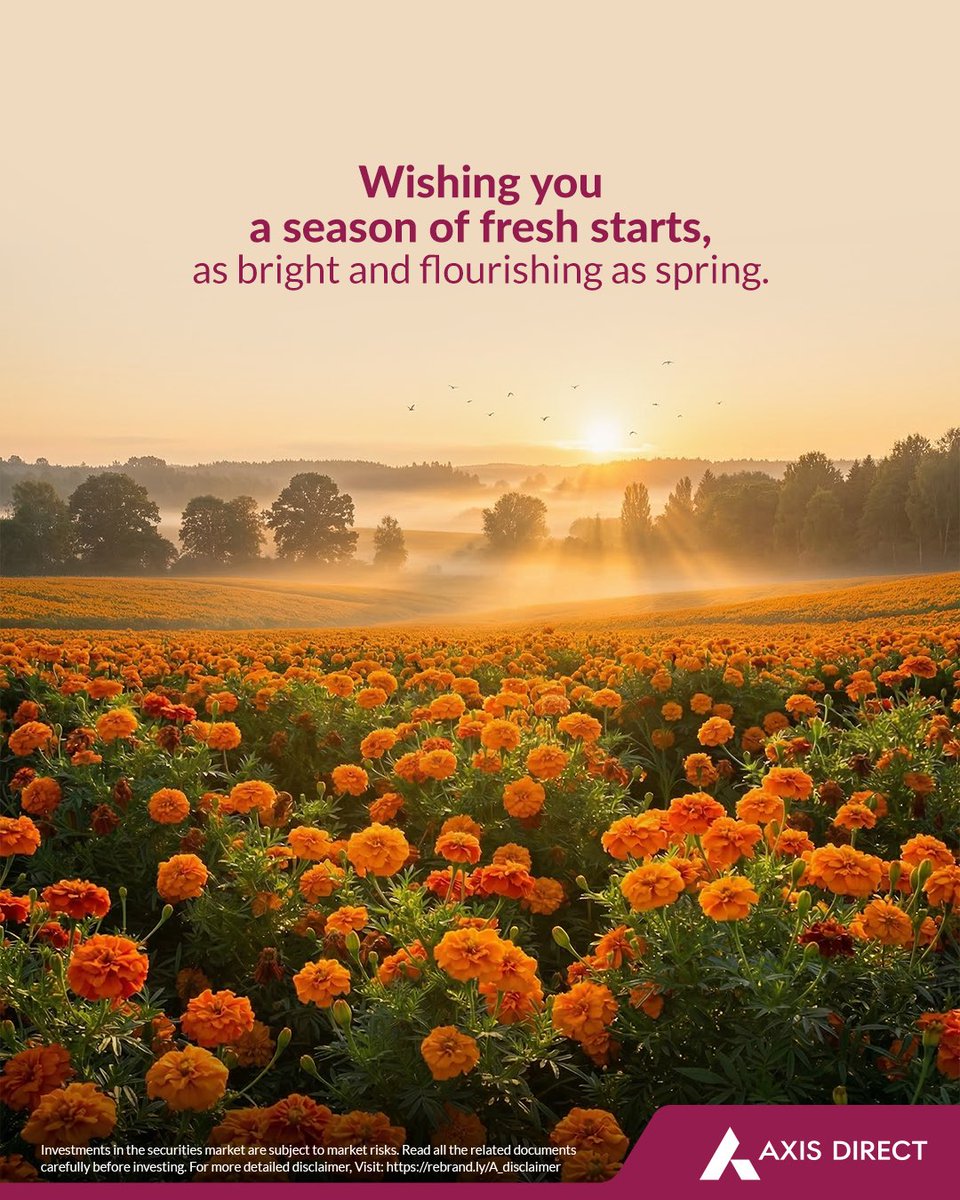 Axis Direct tweet media