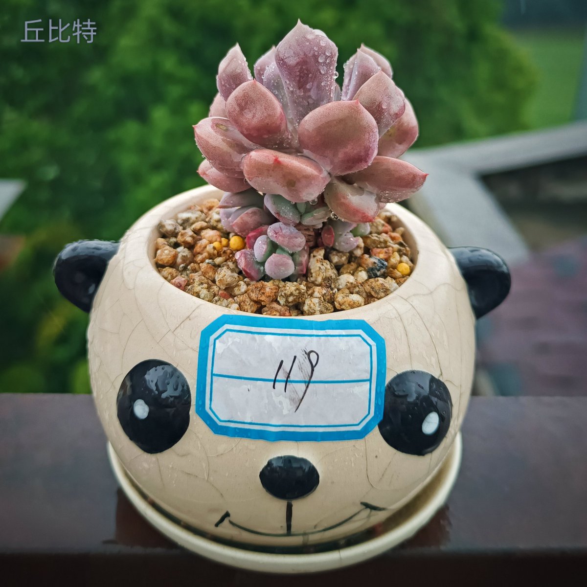 Matt Hill tweet media