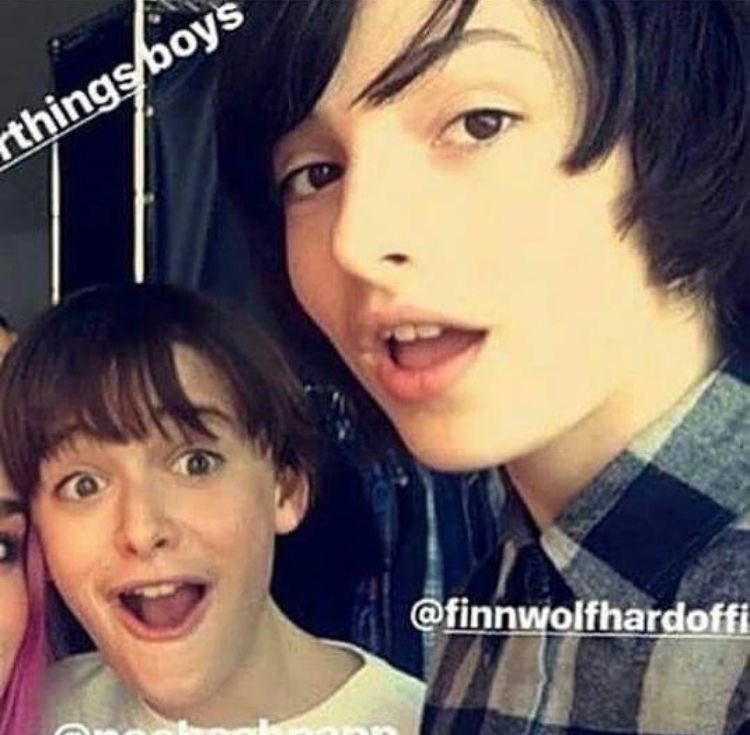sasha_byeeers2's tweet photo. my #nofi babieeees ππππ https://t.co/zNp5abYRw2