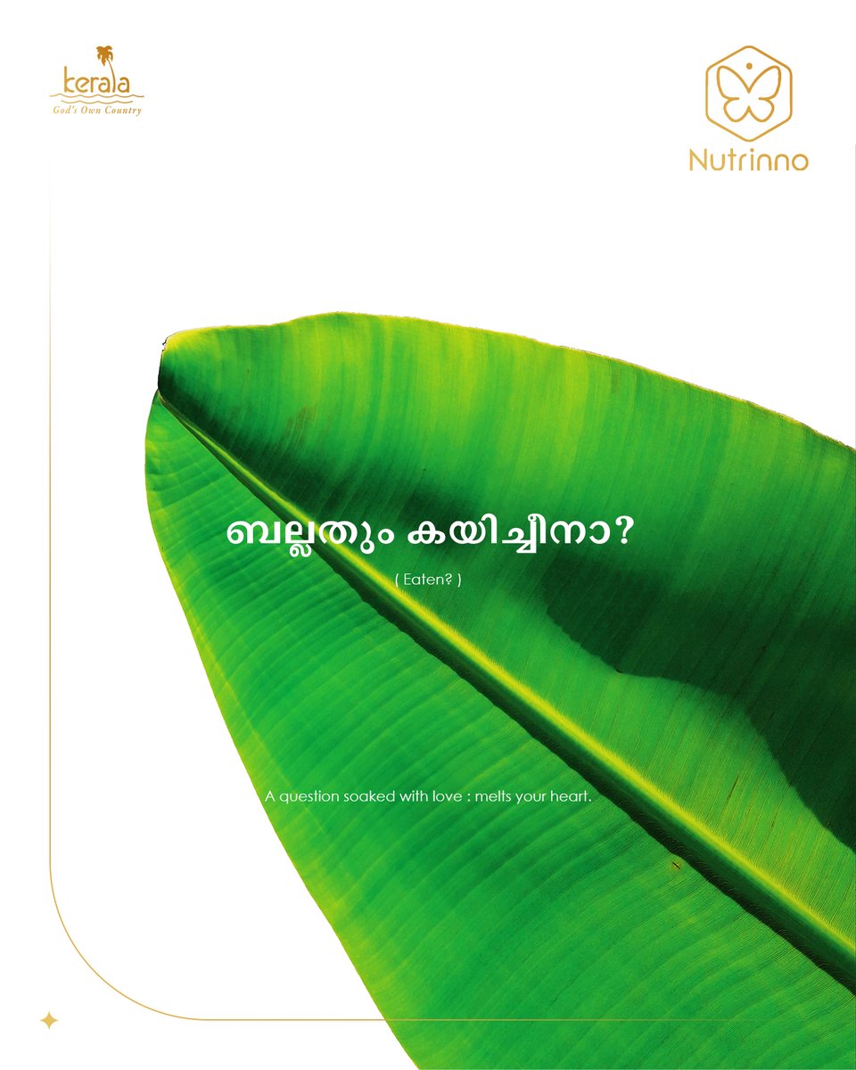 nutrinno's tweet photo. Good Food : Our LOVE language ❤️

Hand made in Kerala with Love for the world ❤️

Visit: https://t.co/T8yWUb4u5b

#keralastory #health #food #bangalore #kochi https://t.co/XMPIDdTENZ