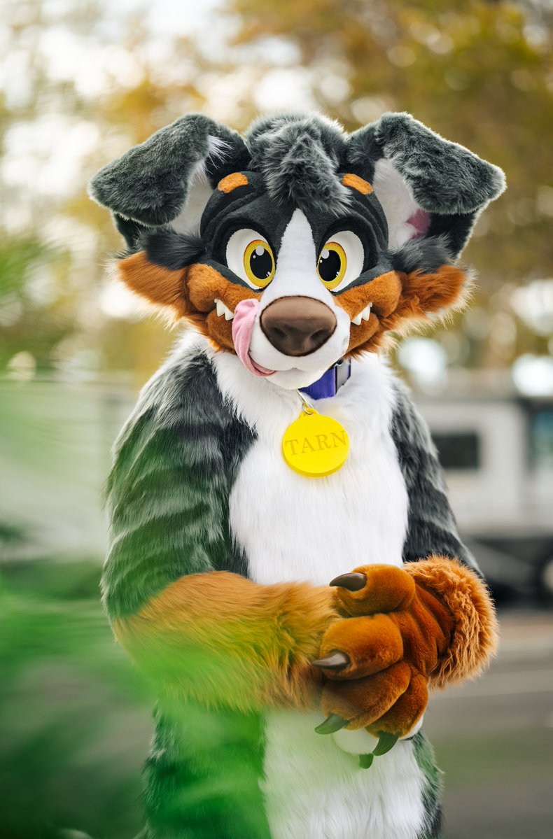 Crow Creations Fur-tography! 🔜 NFC! tweet media