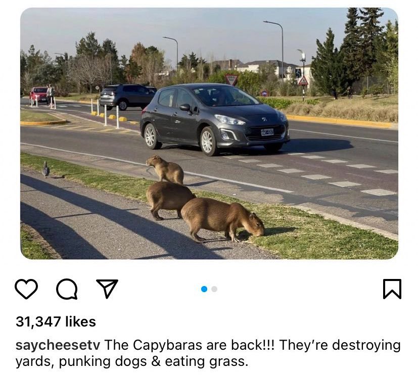 Art X View (@artxview) on Twitter photo 