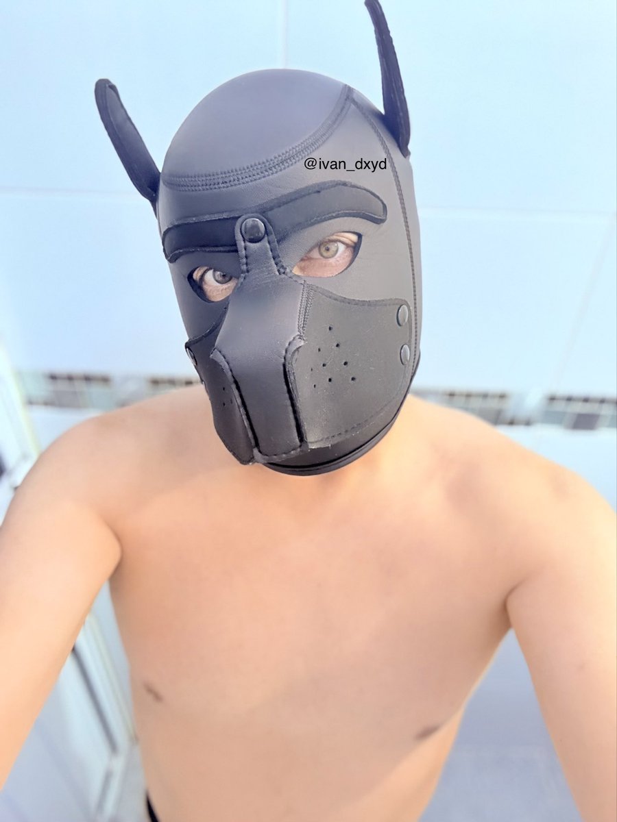 @ivan_dxyd / @pup_taiki tweet media