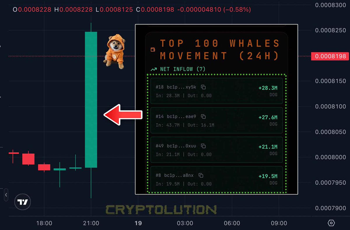Vincent (Cryptolution) 👑 tweet media