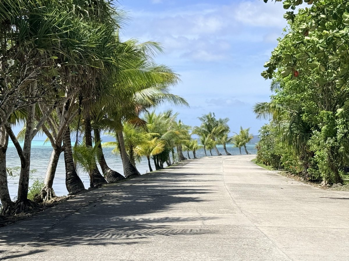 上田 哲也｜IELTS講師 tweet media