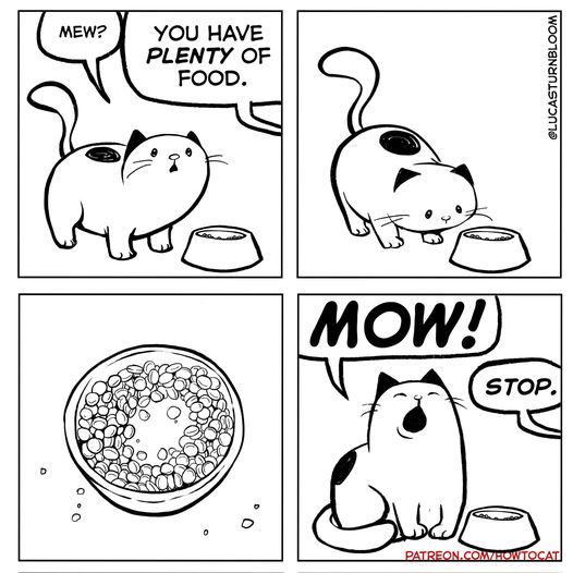 postsofkittens's tweet photo. https://t.co/yFYWdBkIyr