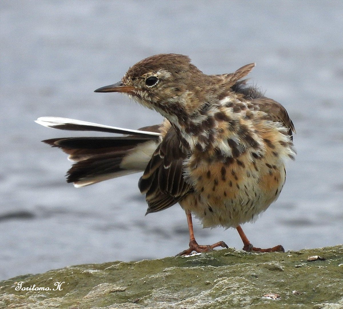 氏原巨雄 Osao Ujihara tweet media