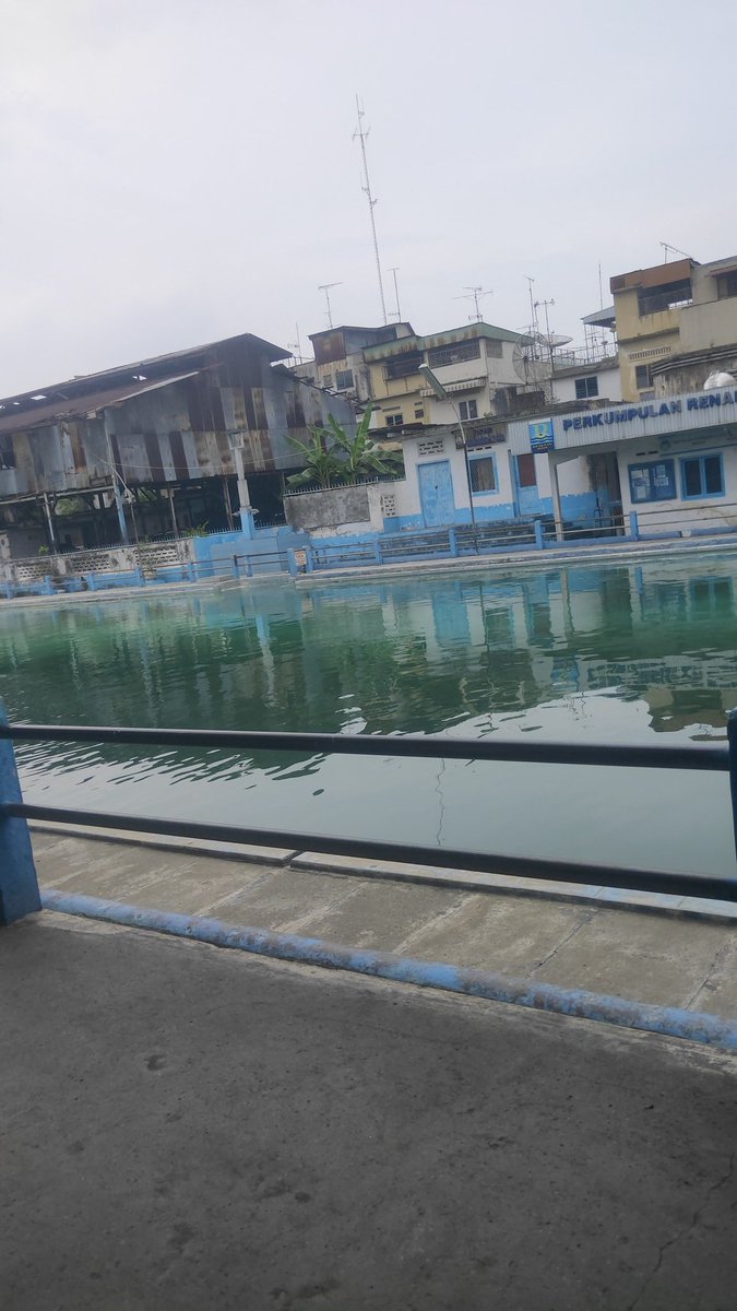 putrs566 tweet media