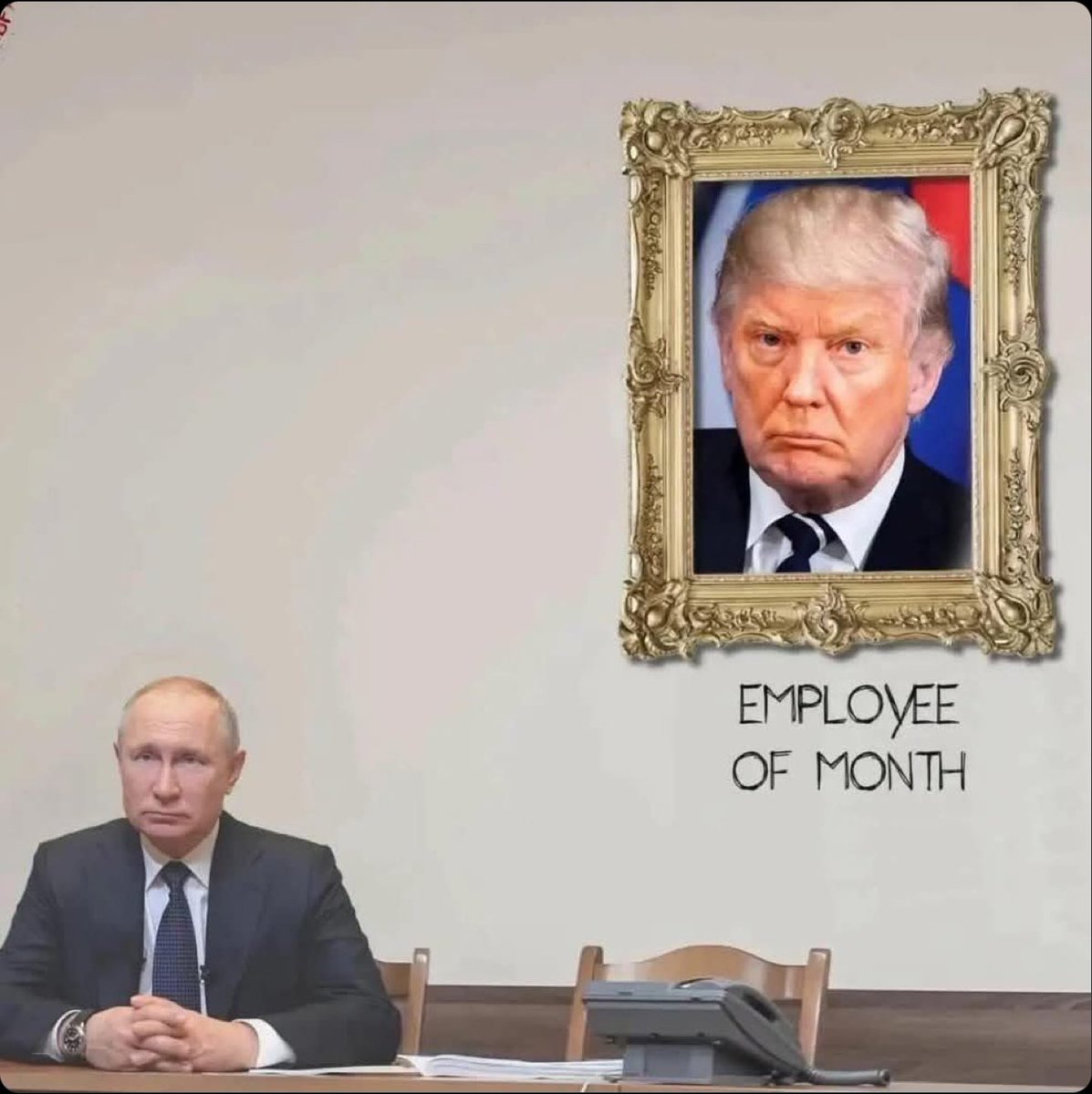 Ragnifella tweet media